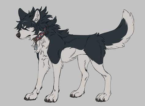 Wolf Oc, Wolf Poses, Animal Doodles, Canine Art, Dog Projects, Art Story, Fantasy Creatures Art, Oc Ideas, Animal Sketches