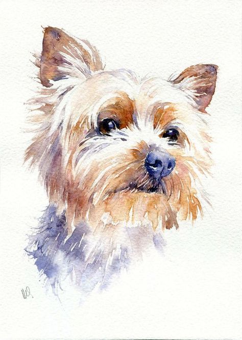 yorkshire terrier dog portrait | original watercolour pet painting - Yorkshire Terrier dog portrait Yorkie Painting, Watercolor Dogs, Watercolor Paintings Of Animals, Best Dog Toys, 강아지 그림, 수채화 그림, Watercolor Dog, White Dog, Dog Drawing