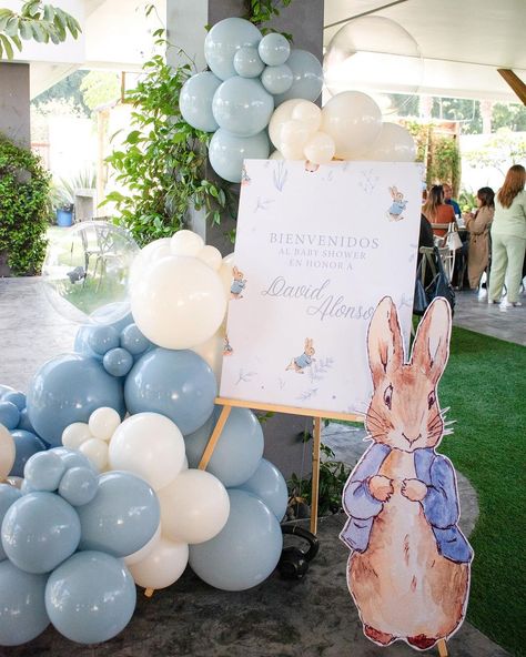 Peter Rabbit Birthday Decorations, Peter Rabbit Baby Shower Balloons, First Birthday Peter Rabbit, Peter Rabbit Themed Birthday Party, Easter First Birthday Boy, Peter Rabbit Balloon Garland, Peter Rabbit Balloon Arch, Peter Rabbit Birthday Theme, Peter Rabbit Backdrop