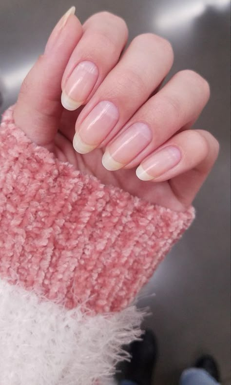 Oval Natural Nails Long, Oval Shaped Natural Nails, Simple Nails For School Natural, Natural Nail Shapes Long, Long Pretty Nails Natural, Soft Natural Nails, Nice Nails Natural, Natural Clean Nails, Perfect Nails Natural