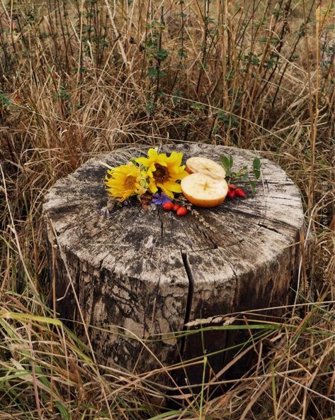 30-Day Manifestation Challenge… 🍎 Day 17: Make an Earth Offering Offer something to the Earth in gratitude for how far you have come with your manifestation work. You can place this offering on your alter or someplace else meaningful. You can even leave it outside. Items such as a small crystal, flower, coin or food item (something safe for local animals to ingest) would all be appropriate gestures of gratitude. *** My MANIFEST program begins at the Autumn Equinox with the Element of Air... Autumn Equinox Food, Autumn Equinox Correspondences, Autumnal Equinox Art, Fall Equinox Crystals, Autumn Equinox Meditation, Autumn Equinox Affirmations, Folk Magic, Kitchen Witchery, Enchanted Wood