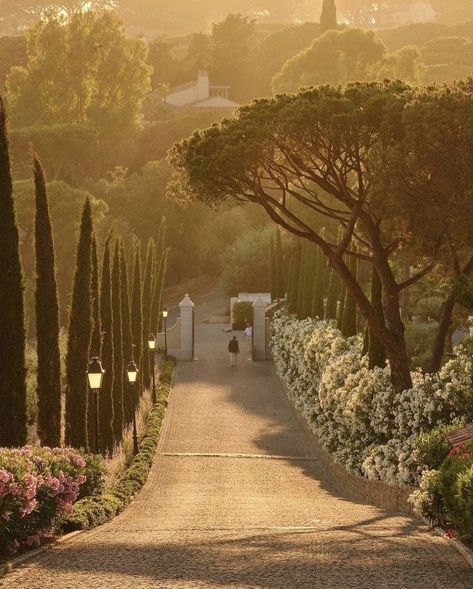 Saint Tropez Wedding, Tradition Aesthetic, Old Money House, Architecture Aesthetic, Italy Holidays, Italian Home, Countryside House, Europe Summer, Dream House Exterior