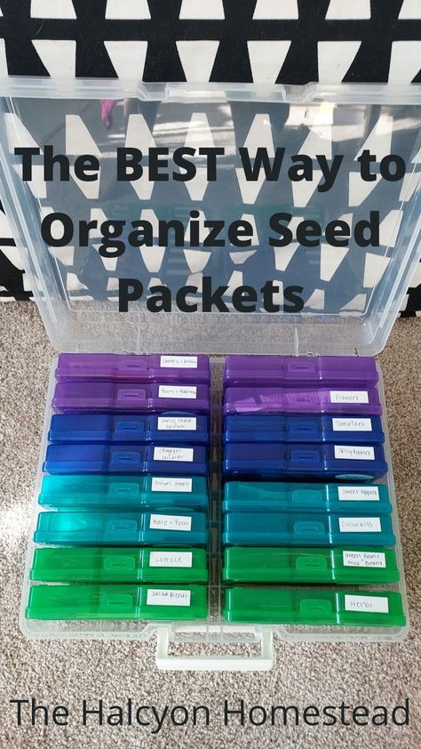 Do you need a better method of organizing and storing your seed packets? So did I! Read on to discover the best way to organize seed packets! Seed Packet Storage Ideas, Organizing Seed Packets, Storing Seeds For Next Year, Seed Saving Storage Ideas, Seed Package Storage, Organize Seeds, Seed Storage, Seed Bank, Seed Saving