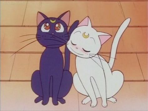 Sailor Moon Cats, Ponyta Pokemon, Sailor Moon Cat, Sailor Moon Screencaps, Black Cat Aesthetic, Luna And Artemis, Sailor Moon Luna, Moon Icon, Sailor Moon Wallpaper