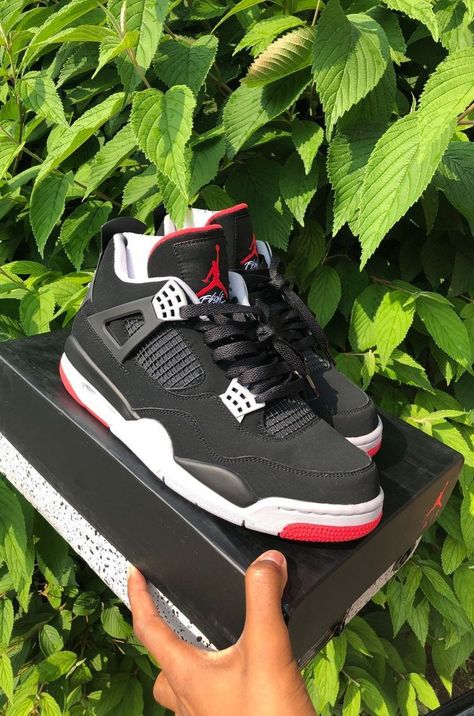 Bred 4s, Jordan 4 Bred, Jordan Low, Trendy Shoes Sneakers, Dr Shoes, Jordan Shoes Girls, Kicks Shoes, Jordan Shoes Retro, Pretty Shoes Sneakers