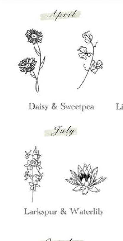 Larkspur And Sweet Pea Tattoo, Sweet Pea And Larkspur Tattoo, Water Lily And Daisy Tattoo, Daisy And Larkspur Tattoo, Daisy And Sweat Pea Tattoo, Sweat Pea Tattoo, Firework Tattoo, Sweet Pea Tattoo, Larkspur Tattoo