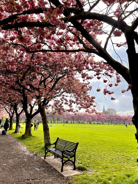 Mid Spring Aesthetic, Spring Days Aesthetic, Uk Spring Aesthetic, Spring In Edinburgh, Zainab Aesthetic, Kyra Aesthetic, Edinburgh Meadows, Spring Day Aesthetic, Pink Spring Aesthetic