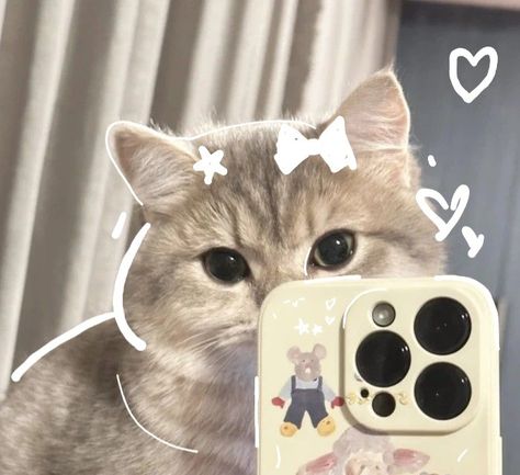 Cute Cat For Profile Picture, Cute Profile Pictures Cat, Pp Aesthetic Cute, Cute Cat Pp, Cute Dps, Profile Instagram, Cat Profile, Funny Cat Wallpaper, Cat Doodle