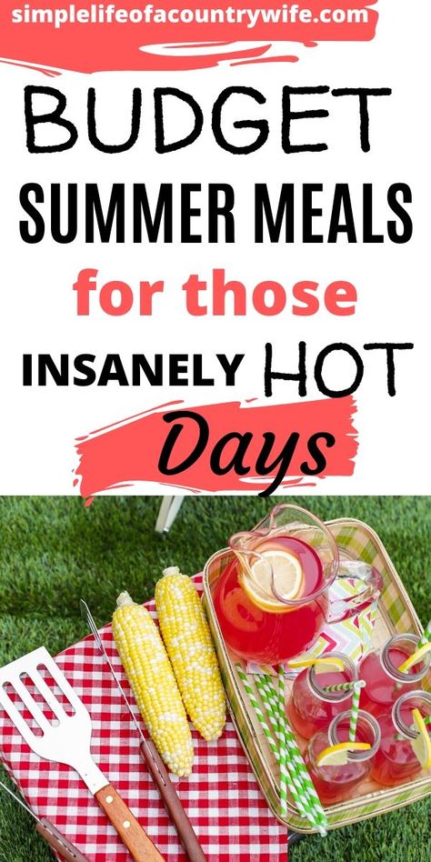 Cheap Summer Dinner Ideas, Meals For Hot Days, Healthy Summer Meals, Hot Day Dinners, Summer Budget, Quick Summer Meals, Light Dishes, Easy Cheap Dinners, Easy Summer Dinners