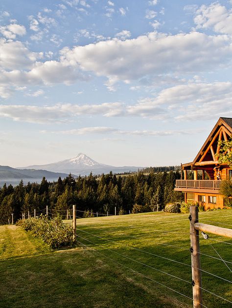 Agritourism Farms, How To Build A Log Cabin, Hood River Oregon, Mount Hood, Hood River, Oregon Washington, Farm Stay, Conde Nast Traveler, Cabin Fever