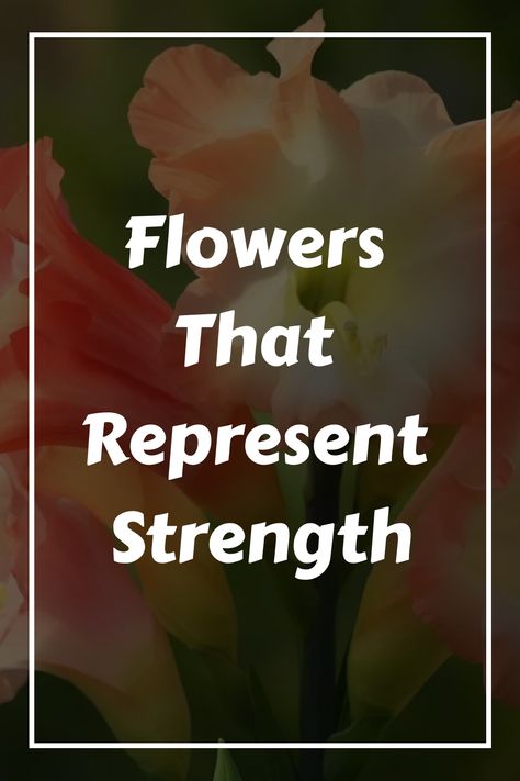 Looking for a meaningful symbol of strength? Flowers have long been associated with certain qualities and emotions, and there are many blooms that represent Flower That Means Strength, Flowers That Symbolize Strength, Flowers That Mean Strength, Flower Representing Strength, Flowers That Represent Strength, Scottish Army, 10 Flowers, Gladiolus Flower, Symbol Of Strength