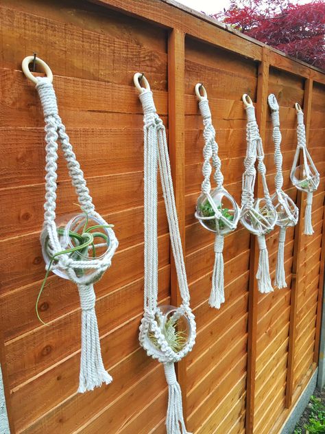 Glass Bowl Air Plant Hangers Tutorial Series – Crafted by Ceri Air Plant Hanger Macrame, Macrame Air Plant Hanger Diy Tutorials, Macrame Air Plant Hanger Diy, Hangers Design, Macrame Air Plant Hanger, Plant Holder Diy, Air Plants Diy, Air Plant Hanger, Crochet Plant Hanger