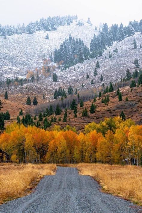 Idaho Photography, Outdoorsy Aesthetic, Idaho Vacation, Visit Idaho, Idaho Travel, Sun Valley Idaho, Travel Globe, Autumn Scenery, Sun Valley