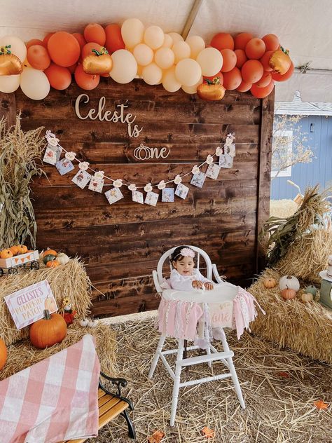 Pumpkin Patch Birthday Party Ideas, Pumpkin Party Ideas 1st Birthdays, Pumpkin Birthday Party Girl, Fall Birthday Party Ideas, Fall Baby Birthday, Pumpkin Patch Birthday Party, Fall First Birthday, Pumpkin Patch Birthday, Fall 1st Birthdays