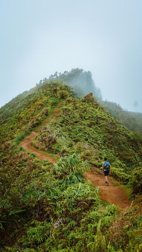 Waihee Ridge Trail Maui, Maui Aesthetic, Maui Hawaii Aesthetic, Hawaii December, Maui Hikes, Hiking In Hawaii, Hiking Hawaii, Hawaii Hiking, Hawaii Trip Planning