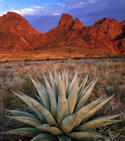 Big Bend National Park.  Texas National Park Pictures, Background Sunset, Chisos Mountains, Big Bend National Park Texas, Texas Adventure, Texas Places, Sunset Glow, Texas Art, Hiking National Parks