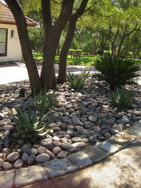 Simple xeriscaping for under trees with lots of root,  nothing else will grow as its bone dry. FANTASTIC IDEA ! Front Yard Flowers, Landscaping Around Trees, Shady Tree, Front Yard Design, Rock Garden Landscaping, Front Yard Garden, Landscaping Tips, Front Yard Landscaping Design, Landscaping With Rocks