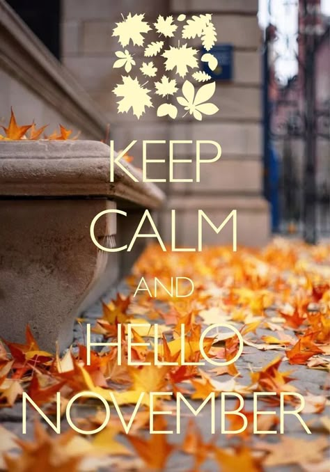 Keep Calm And Hello November november hello november november quotes Sweet November Quotes, Hello November Pictures, November Tumblr, Goodbye October Hello November, Hello October Images, November Wedding Colors, November Hello, November Nails Colors, November Pictures