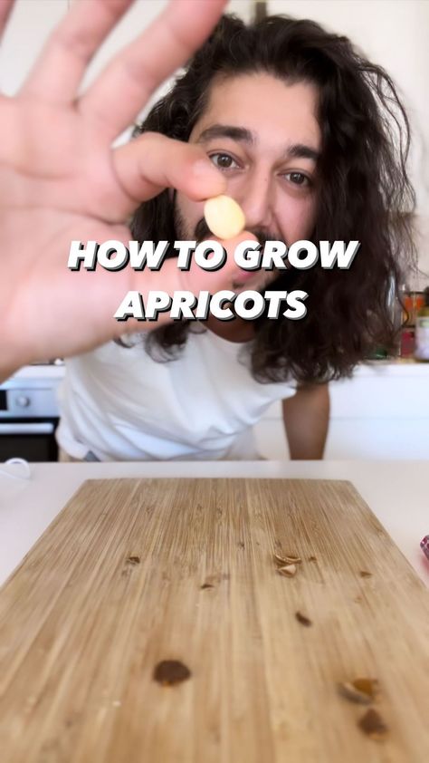 How To Grow Apricots From Seed, Plant Videos, Plant Books, Creative Explained, Apricot Seeds, My Plant, The Real Slim Shady, Gardening Plants, Diy Recycle