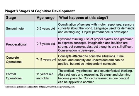 Piaget Stages Jean Piaget Theory Child Development, Piaget Stages Of Development, Psychology Doctor, Psychology Revision, Psych Notes, Piaget Theory, Revision Gcse, Lcsw Exam, Peds Nursing