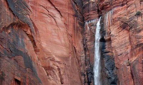 Temple of Sinawava Zion National Park Temple Of Sinawava, Zion National Park Hikes, Kolob Canyon, Riverside Walk, The Narrows, Utah Vacation, Zion Canyon, Zion National Park Utah, Angels Landing