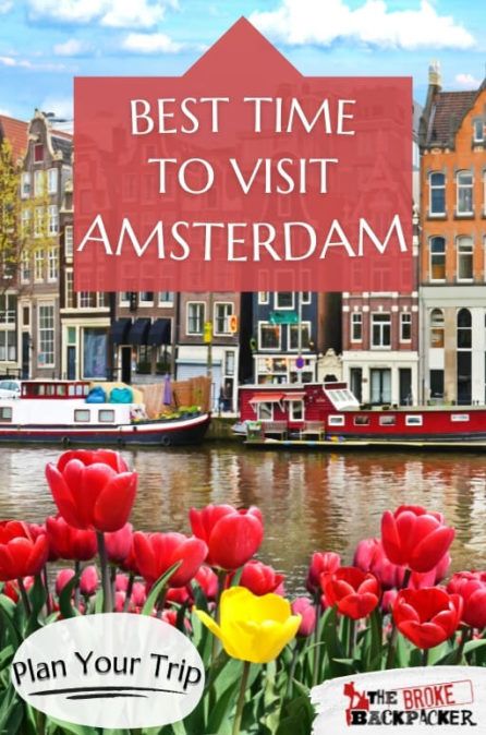 Best Time to Visit Amsterdam – MUST READ • 2021 Guide - The Broke Backpacker Amsterdam What To Do, Amsterdam Travel Tips, Visiting Amsterdam, Best Hotels In Amsterdam, Amsterdam Guide, Amsterdam Itinerary, Amsterdam Bucket List, Things To Do In Amsterdam, Travel Amsterdam