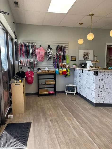 Dog Grooming Parlour Ideas, Dog Grooming Salon Decor Reception Desks, Grooming Salon Organization Ideas, Boarding Dog Kennel Ideas, Small Pet Grooming Salon Ideas Design, Dog Grooming Studio Ideas, Dog Boarding Organization Ideas, Dog Grooming Salon Design, Grooming Salon Lobby