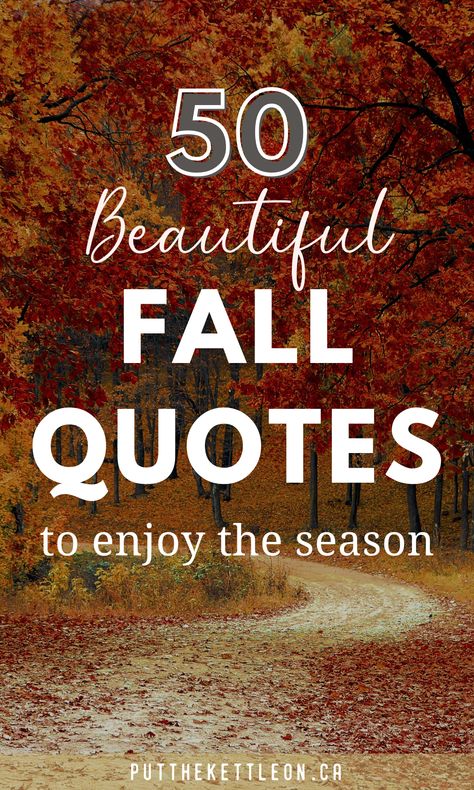 50 fall quotes to enjoy the season Sitting On The Porch Quotes, Flannel Season Quotes, Quotes For Autumn Season, Quotes On Autumn Season, Quotes About Changing Seasons, Changing Of The Seasons Quotes, Summer Fades Into Fall Quotes, Inspirational Fall Quote, Fall Nights Quotes