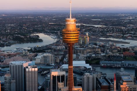 Did you know Sydney Tower was opened to the public in August 1981? Find out about this iconic Sydney landmark and get the best priced tickets online now. Sydney Tower Eye, Sydney Tower, Sydney Skyline, Botany Bay, Visit Sydney, Observation Deck, Photos Of Eyes, Center Point, The Blue Mountains