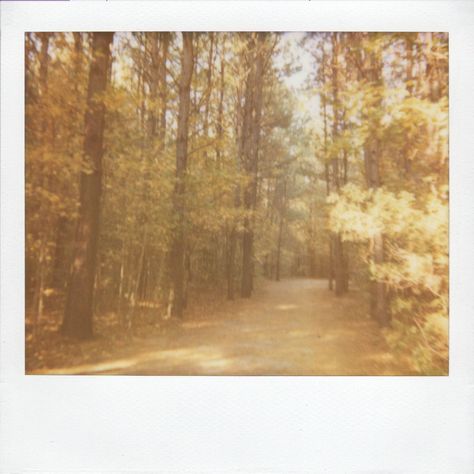 Polaroid Photography Aesthetic, Fall Polaroid Pictures, Autumn Film Photography, Fall Film Photography, 70s Polaroids, Old Polaroid Pictures, Autumn Polaroid, Singing Inspiration, Soul Tied