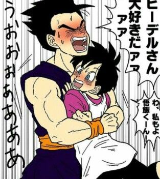 Dragon Ball Couple, Dbz Pan, Videl Gohan, Ball Couple, Gohan X Videl, Gohan Videl, Z Warriors, Son Gohan, Dragon Ball Art Goku