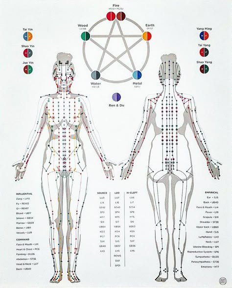 Naturopathic Med•TCM•Mindbody on Instagram: “The Meridian System is Vast Network of Invisible Energy Pathways 💮 Each meridian connects to each other and every atom, cell, tendon,…” Acupuncture Meridian Chart, Tcm Meridians, Meridian System, Body Meridian Chart, Body Meridians, Meridian Pathways, Meridians Energy Charts, Meridian Energy, Acupuncture Points Chart