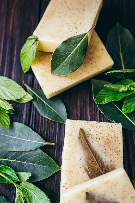 With an uplifting rosemary and mint scent and completely natural, this DIY shampoo bar recipe helps revitalize your hair. Made with only five ingredients and completely lye-free, this shampoo bar helps strengthen hair follicles and curb hair loss. Diy Shampoo Bars, Nettle Shampoo, How To Make Shampoo, Diy Shampoo Bar, Diy Hair Care Recipes, Homemade Shampoo Bar, Rosemary Mint Shampoo, Shampoo Bar Recipe, Rosemary Shampoo