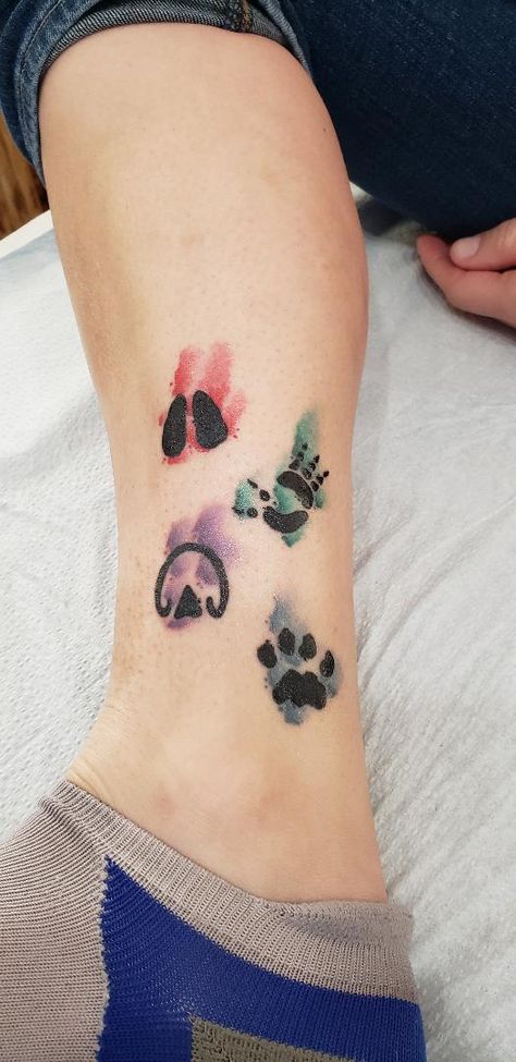 Hoofstock tattoo, animal print tattoo, animal track tattoo, koala, javelina, horse, cat Small Realistic Animal Tattoos, Horse Tracks Tattoo, Animal Track Tattoos, Animal Tracks Tattoo, Hoofprints Tattoo, Horse Hoof Tattoo, Animal Paw Print Tattoo, Hoof Print Tattoo, Vet Tech Tattoo Ideas