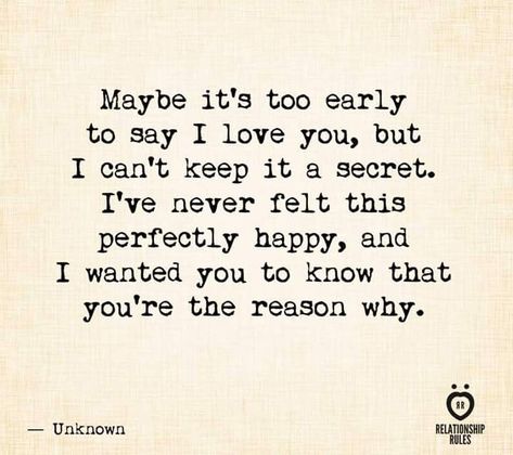 Maybe it's too early to say "I Love U", but I can't keep it a secret. I've never felt this perfectly happy & I wanted U to know that you're the reason why!! Make You Happy Quotes, I Like You Quotes, New Love Quotes, Sweet Romantic Quotes, Love You Messages, Good Morning My Love, Forever Quotes, Lovers Quotes, Why I Love You