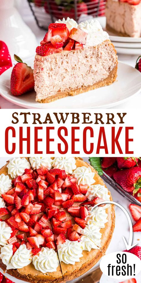 Cheesecake From Scratch, Cream Cheese Cheesecake, The Best Cheesecake, Strawberry Cheesecake Recipe, Cheesecake Recipes Classic, Shugary Sweets, Homemade Cheesecake, Best Cheesecake, Strawberry Flavor