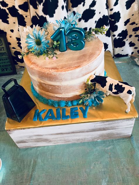 Teen Girl Cakes, Cowgirl Birthday Cakes, Western Birthday Cakes, Cow Print Birthday, Cow Birthday Cake, 9th Birthday Cake, Cowgirl Cakes, Cow Cakes, Teen Girl Birthday