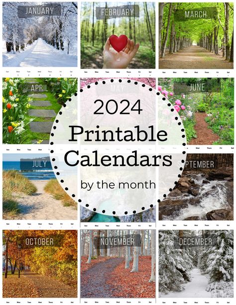 Collage of 12 paths for each month of the year for 2024. Calendar Theme Ideas, Free Printable Calendars, Calendars 2024, Year At A Glance, Printable Calendars, Monthly Calendars, Free Printable Calendar, Budget Printables, Print Calendar