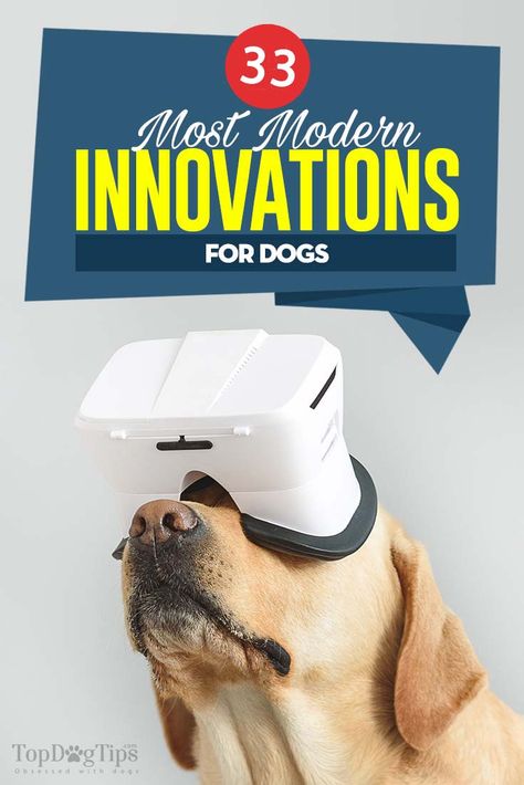 Dog Owner Must Haves, Dog Paw Wax, Walking Gear, Socializing Dogs, Dog Equipment, New Electronic Gadgets, Dog Gadgets, Cool Dog Houses, Clever Dog