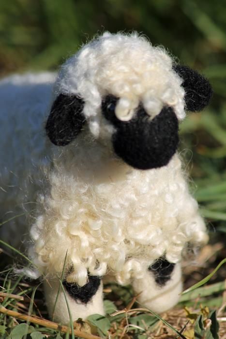 Blacknose Sheep, Valais Blacknose, Valais Blacknose Sheep, Sheep And Lamb, Cute Sheep, Baby Goats, Black Sheep, Sweet Animals, Felt Animals