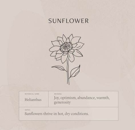 Sunflower Symbolism, Sunflower Meaning, Flower Tattoos Meanings, Sunflower Tattoo Meaning, Sunflower Tattoo Ideas, Sunflower Tattoo Simple, Meaningful Wrist Tattoos, Sunflower Tattoos, Cute Small Tattoos