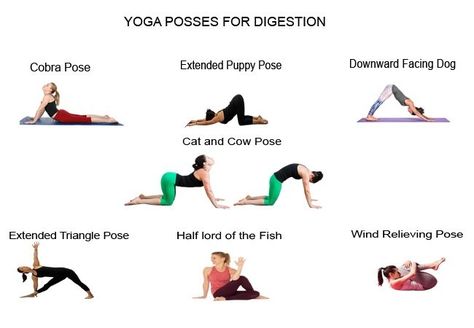 Natural digestion relief for a happier and healthier lifestyle Yoga Posses, Puppy Pose, Fish Pose, Cow Pose, Stomach Cramps, Bloated Stomach, Cobra Pose, Relieve Constipation, Downward Facing Dog