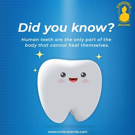 Teeth are coated in enamel which is not a living tissue. Do you know any other amusing fact about our body. . . #Nalanda #onlenalanda #nalandaeducationinstitute #education #topnotcheducation #learning #children #studies #informative #skills #smartkids #smart #kids #brightfuture #futureofindia #schools #funactivities #activities #tooth #dentalfacts #biology #humanbody Dental Facts Did You Know, Future Of India, Kids Teeth, Fun Facts For Kids, Human Teeth, Dental Facts, Did You Know Facts, Facts For Kids, Smart Kids