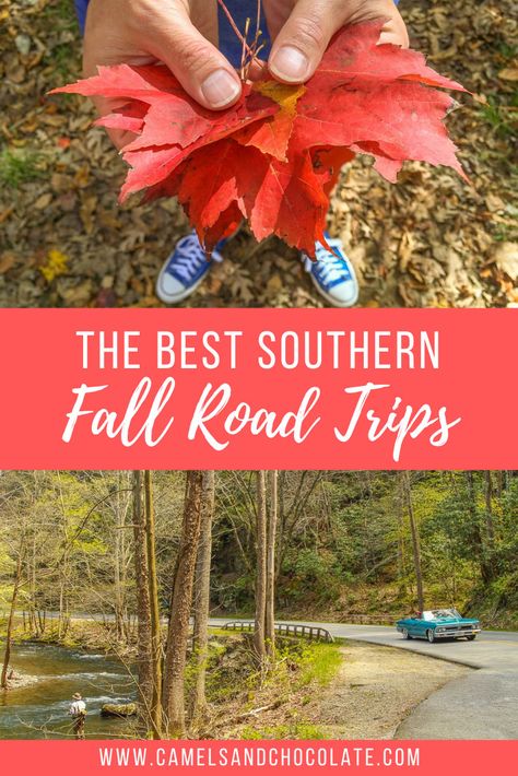 If you are planning a fall road trip this season, I have some incredible options for you, and they are all in the south. Here are some of the best places to experience fall in the southern states. | Camels & Chocolate Southern Road Trips, Travel Restaurant, Travel Flight, Southern Travel, Flight Travel, Fall Road Trip, Southern States, Prague Travel, Destinations Travel