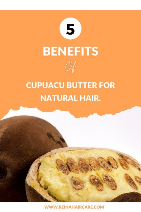 Learn the different ways cupuacu butter strengthens and deeply moisturises your natural hair. Research shows it is far better than Shea butter. Cupuacu butter benefits for natural hair. Cupuacu Butter Benefits, Cupuacu Butter, Natural Hair Tips, Hair Tips, Hair Hacks, Shea Butter, Natural Hair, Natural Hair Styles, Hair Care