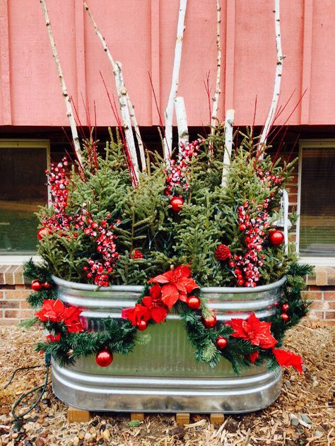 Galvanized water trough filled with spruce tops, red dogwood, Birch, and berries, with white lights Christmas Trough Ideas, Galvanized Christmas Decor, Galvanized Water Trough, Western Christmas Decorations, Bucket Crafts, Outdoor Planter Ideas, Winter Containers, Horse Trough, Red Dogwood