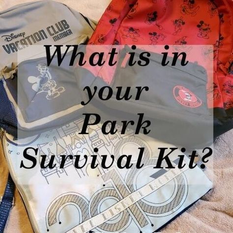 Disney World Survival Kit, Disney Survival Kit For Adults, Disney Survival Kit, Parent Survival Kit, Survivor Kit, Survival Kit Gifts, Disney World Vacation Planning, Disney Trip Planning, Disney Vacation Club