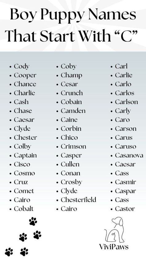 C Boy Names, Puppy Names Boy, Boy Puppy Names Unique, Dog Symbolism, Puppy Names Unique, Boy Puppy Names, Cute Puppy Names, Boy Puppy, Boy Dog Names