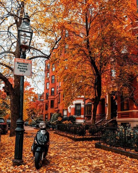 Boston Aesthetic, Halloween Usa, Fall City, Autumn Scenery, City Photography, Beautiful Places In The World, Autumn Aesthetic, Photo Challenge, Fall Photos