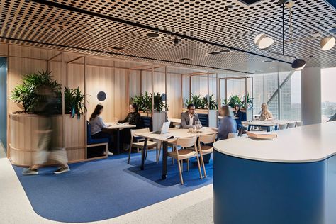 Project - QIC Collaborative Space, Corporate Offices, Timber Ceiling, Quiet Room, Booth Seating, Collaboration Space, Workplace Design, Workspace Design, Design School